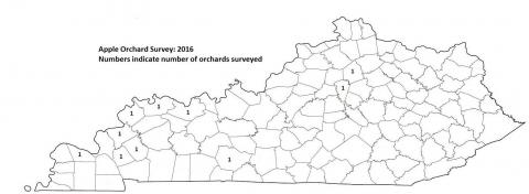 2016 Apple Orchard Survey Map